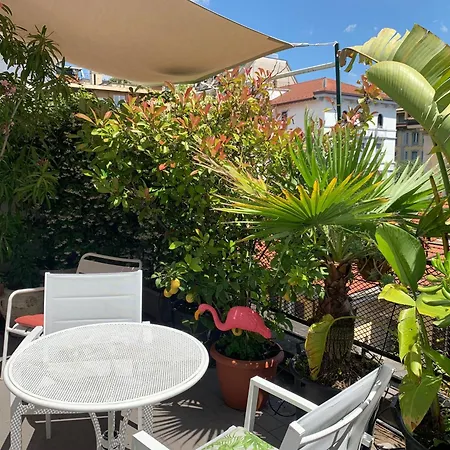 Cozy With Terrace In Appartamento *